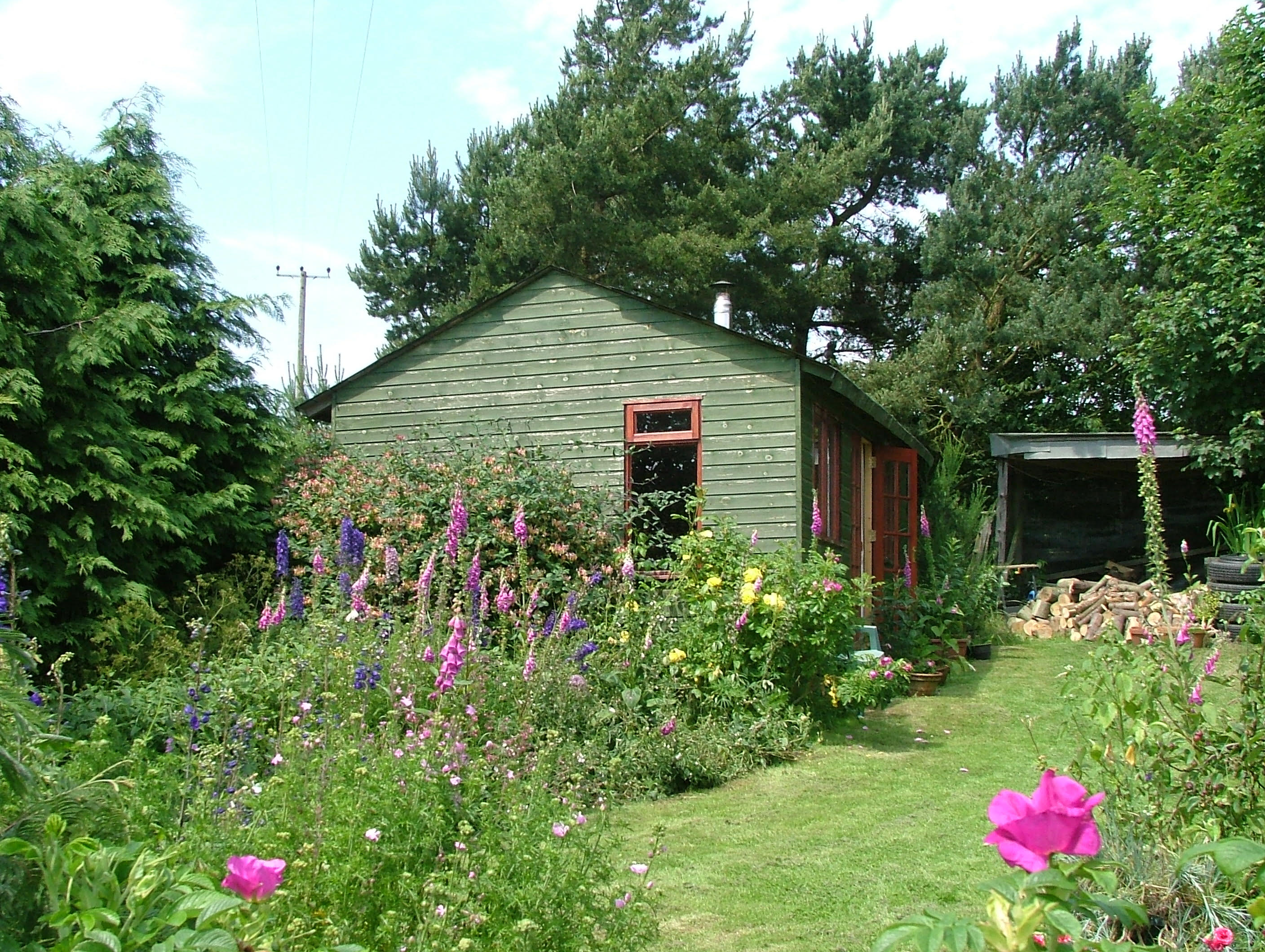The shed