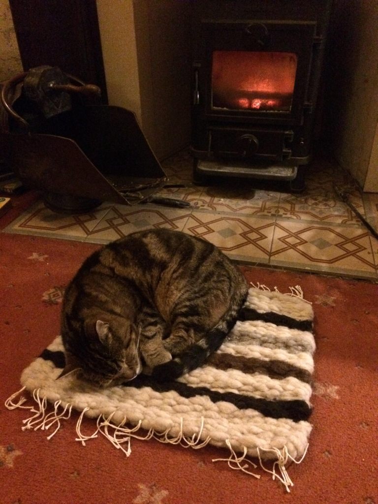 Woven work 2 as a cat cosy